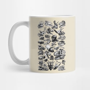 Dinosaurs Skulls Mug